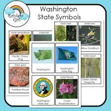 The seal of the state of washington is written in black on the yellow band surrounding george washington. Washington State Symbols By Rainbow Girl Teachers Pay Teachers