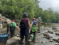 Life in the Stream: Local Fish Electrofishing & Creek Critters Survey