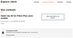 Si malgré tout vous n'arrivez à trouver ce que vous cherchez sur votre espace orange, n'hésitez pas à contacter leur service clientèle qui saura vous renseigner au. Inauguration De L Accueil Clientele D Orange