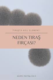 Neden Tiras Fircasi Erkek Bakim Tirlar Cil