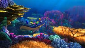 With tenor, maker of gif keyboard, add popular nemo touching the boat animated gifs to your conversations. 9 Ocean Conservation Movies Tv Shows We Love The Reef World Foundation