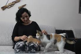 Bursa Da Kedinin Ve 5 Yavrusunun Hayatini Kurtardi Bursa Com