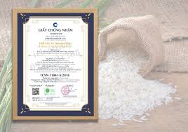 Gạo hữu cơ là gì? 5 bước để được cấp chứng nhận gạo hữu cơ