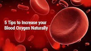 Lung Health Institute 5 Tips To Increase Your Blood Oxygen Naturally