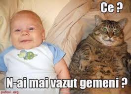 Glume, cu bula, seci, cu blonde. Bebelus Glume Cu Animale Florinasabina