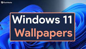 Windows 11 Original Default Wallpapers Download In 2021 Wallpaper Windows Wallpaper Downloads