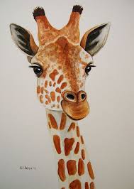 We mean just look at the giraffe with its disproportionately long neck, small face with wide eyes, those cute little horn like things on their head, the mouth that seems to have a weird movement while chewing and the long legs. Realistic Pencil Giraffe Drawing Novocom Top