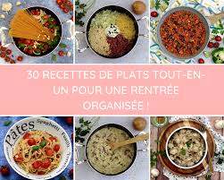 30 Recettes De One Pot Repas Tout En Un Amandine Cooking Repas Tout En Un Recette Recettes De Cuisine