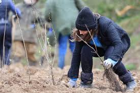 Coologue, County Tipperary