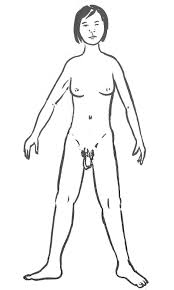 File:Blank-preop-trans-woman-face.jpg - Wikipedia