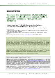 Image result for Androstachys