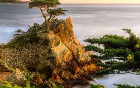Handcrafting the world's finest wooden jigsaw puzzles since 1974. Pebble Beach Online Jigsaw Puzzles