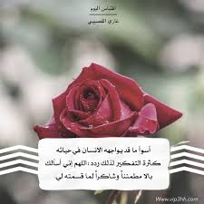 vip3hh plants rose flowers