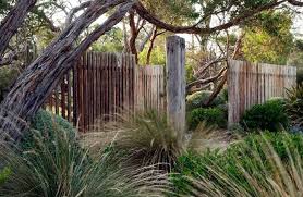 Another Beautiful Native Garden Australian Garden Design Native Garden Australian Native Garden