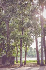 Sparrow S Heart Photographyhuntsville State Park Wedding Huntsville Texas Casey And Dylan Sparrow S Heart Photography Park Weddings State Parks Huntsville