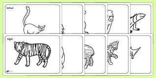 Jungle animals coloring pages are a fun way for kids of all ages to develop creativity, focus, motor skills and color recognition. Jungle Animal Colouring Pages Coloring And Drawing