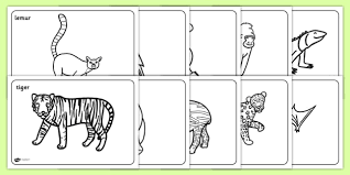 Personalized kid's books · personalized board books Coloring Pages Of Jungle Animals