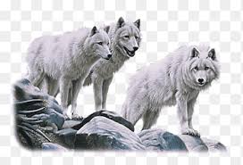 All images are transparent background and unlimited download. Wolves Png Images Pngegg