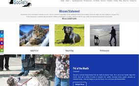 Apply online to adopt a golden retriever dog from golden bond rescue in oregon. Projects Archive Page 28 Of 36 Westcoast Media Group
