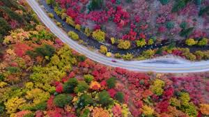 Maybe you would like to learn more about one of these? Lower Logan Canyon Fall Colors Drone Youtube