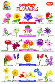 krazy flowers chart buy charts product on alibaba com