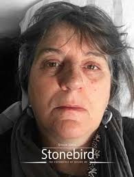 Stonebird: The Lived Experience of Severe Myalgic Encephalomyelitis (ME)