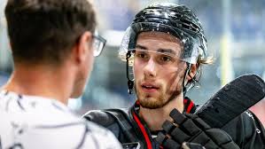 Zugänge bei den Ice Tigers: Neun Neue, neun Geschichten