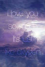 Boy Boy I Love You When I Fall For That Pin On Fall Out Boy