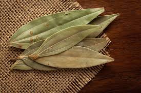 Macro Close-up of Organic Indian Bay ...