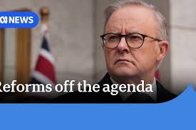 Fight to stop bee mite