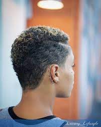 Glossy Natural Hair For Women Natural Tapered Hairstyles For Black Women Glossy Natur Tapered Natural Hair Short Natural Hair Styles Natural Hair Styles