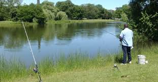 Fly fishing line, which consists of: Fishing Areas Chicago Park District