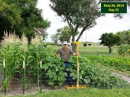 To do hilling (pushing soil from the path onto a row of garden plants) just a one plow is attached. Rowmaker Your Home Garden Row Making Tool Easy Garden Container Gardening Garden