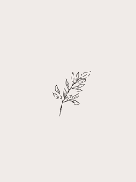 Find images of white background. Aesthetic Wallpaper Aesthetic Background And Wallpaper Image 6970698 On Favim Com