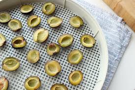 Gedorrte Pflaumen Www Healthyhappysteffi Com Dorrautomat Gesunde Snacks Rezepte
