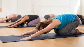 Yoga Fitness Class