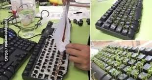 Het was dinsdag in nederland weer flink raak met ik moest wel lachen toen iemand tegen mij collega 's ochtends vroeg zei: Tuinkers Zaaien In Een Oud Toetsenbord Vlak Voor Een Collega Terugkomt Van Vakantie Toetsenbord Projecten Stijl Inspiratie