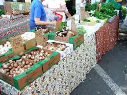 Pete, the largest market in the southeast u.s. St Petersburg Saturday Morning Market St Petersburg 2021 All You Need To Know Before You Go With Photos Tripadvisor