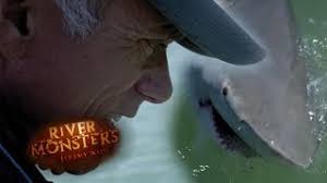Jeremy wade and a river monster. Intense Tug Of War With Bull Shark Bull Shark River Monsters Youtube