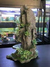 Chewy.com has been visited by 100k+ users in the past month Large Fish In Aquarium Decorations For Sale Ebay