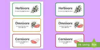 An omnivore is an animal that has the ability to eat and survive on both plant and animal matter.3 obtaining energy and nutrients from plant and animal matter, omnivores digest carbohydrates. Herbivores Omnivores Carnivores Banner Teacher Made