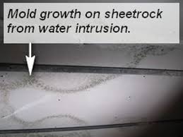 Check spelling or type a new query. Ceiling Mold Growth Learn The Cause And How To Prevent It Environix