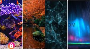 Am selectat cele mai bune 50 de wallpapere pentru android și pentru ios. Fundaluri MiÈ™cÄƒtoare 2020 Gratis È™i Frumoase Pentru Telefon Android