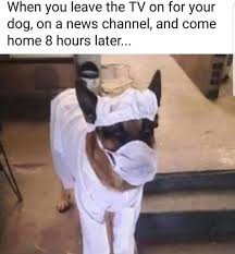 Pin On Funny