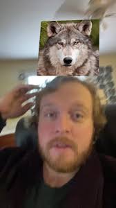 Mason Clements (@masonclements)