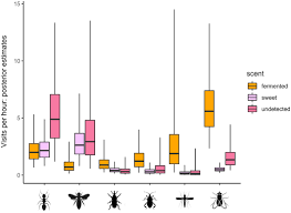 Image result for Crotonogynopsis australis