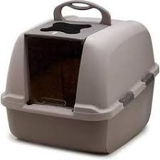 How To Properly Keep Cat Litter Pans Hooded Litter Box Litter Box Cat Litter Box