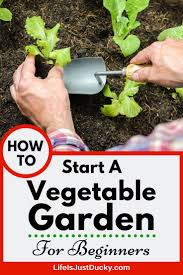 Maybe you would like to learn more about one of these? How To Start A Vegetable Garden From Scratch Life Is Just Ducky