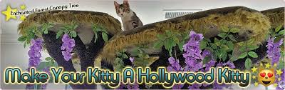 Nice photoshop because we all know a real cat would play with the box the materials came in instead. Hollywood Kitty Company