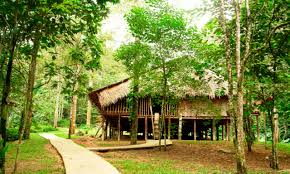 Landscape ums dewan kuliah pusat 2. Ums Eco Campus Tourism Sabah Malaysian Borneo